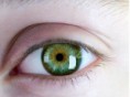 /album/fotogaleria/ojos-1-copia-jpg/